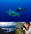 /album/galerie-foto/a08-galapagos-jpg/