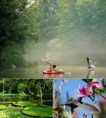 /album/galerie-foto/a09-amazon-jpg/